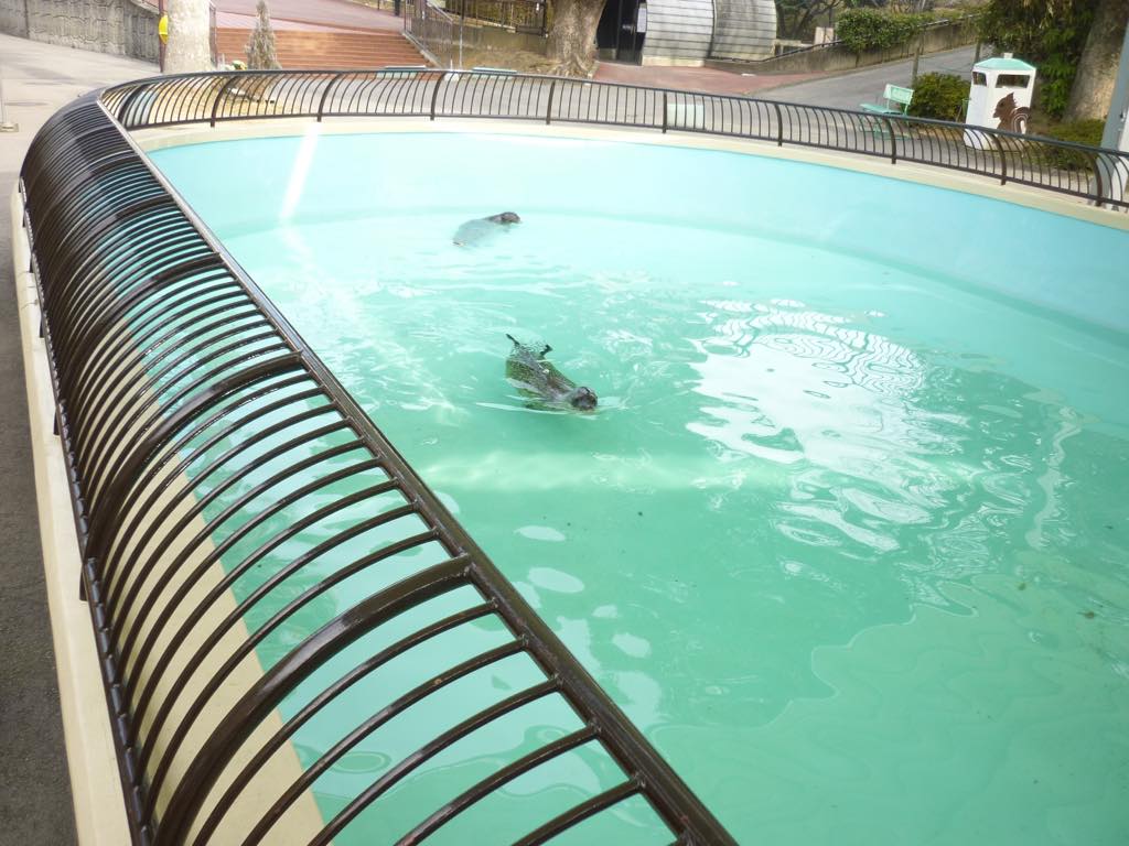 大牟田市動物園様（福岡県大牟田市）